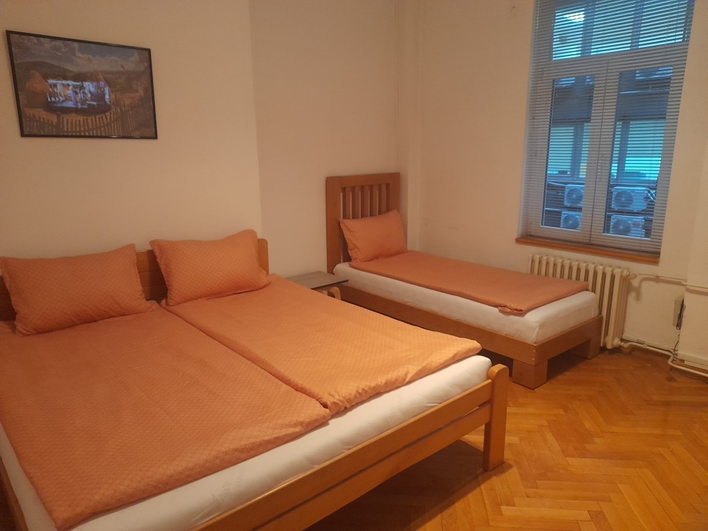 Authentic Belgrade Centre - Apartment Ethnica 3 - Bedroom 3